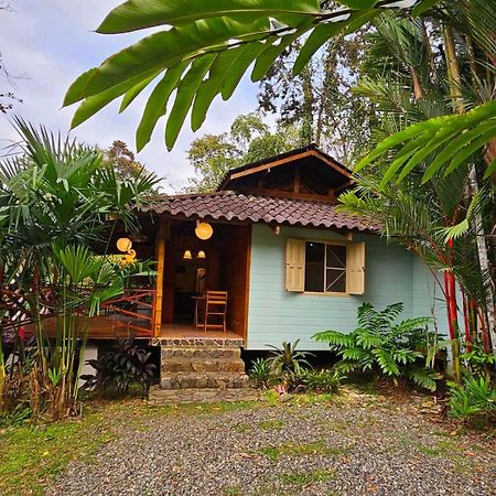 Villa Rameen Puerto Viejo de Talamanca المظهر الخارجي الصورة